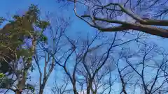 神明社（国府宮神明社）の景色