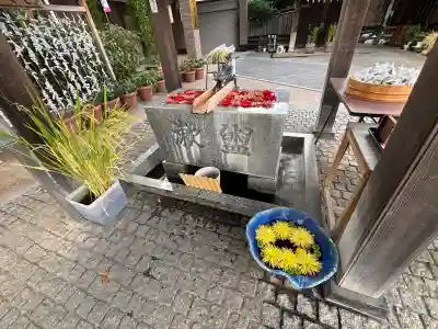 川越八幡宮の{uncategorized: "未分類", other: "その他", undefined: "問題あり", building: "その他建物", grave: "お墓", sacred_gate: "鳥居", guardian: "狛犬", statue: "像", buddha: "仏像", history: "歴史", nature: "自然", garden: "庭園", animal: "動物", pagoda: "塔", temizu: "手水舎", mountain_gate: "山門・神門", sanctuary: "本殿・本堂", subordinate: "末社・摂社", art: "芸術", scenery: "景色", jizo: "地蔵", ema: "絵馬", goshuin: "御朱印", omikuji: "おみくじ", items: "授与品その他", amulet: "お守り", goshuincho: "御朱印帳", eats: "食事", festival: "お祭り", votive_dance: "神楽", shichigosan: "七五三参", wedding: "結婚式", experience: "体験その他", initially: "初詣", around: "周辺", anti_infection: "感染症対策"}