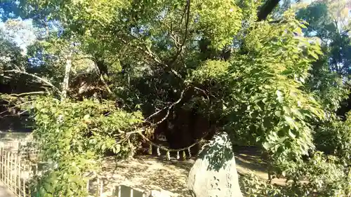 浜松八幡宮(静岡県)