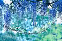 金蛇水神社(宮城県)