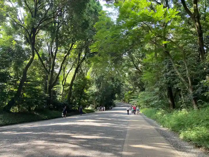 明治神宮(東京都)