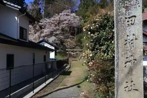 田村神社の景色