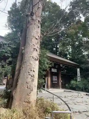 阿佐ヶ谷神明宮のその他建物