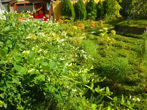 寿量山　速成寺の自然