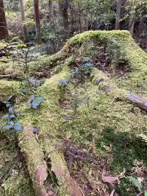 御岩神社(茨城県)