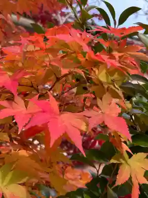 木田神社(福井県)