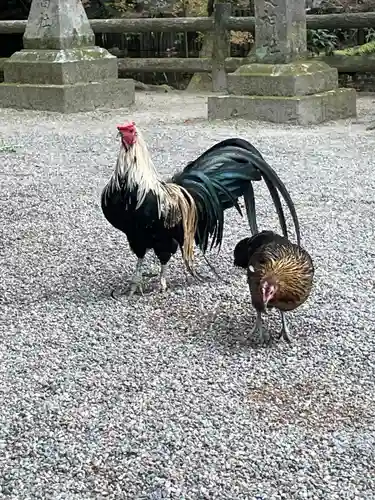 石上神宮(奈良県)