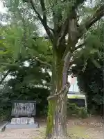 萱津神社(愛知県)
