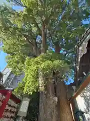 菅生神社(愛知県)