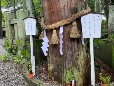 椙本神社(高知県)