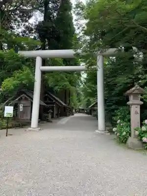 天岩戸神社の鳥居