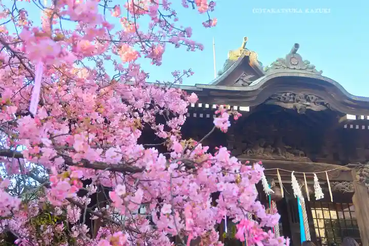 桜神宮(東京都)