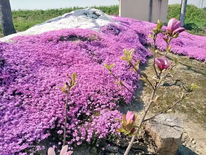 雨竜 専福寺の庭園