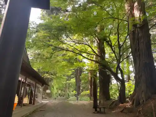 中尊寺(岩手県)