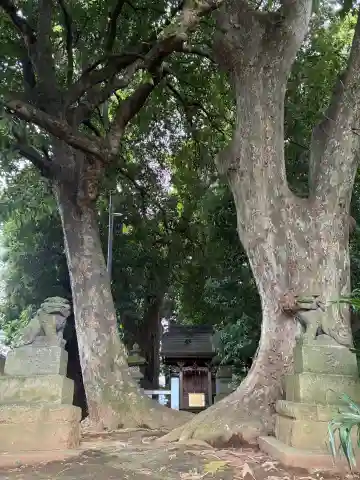 王子神社(千葉県)