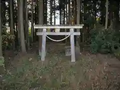 湯殿神社の鳥居