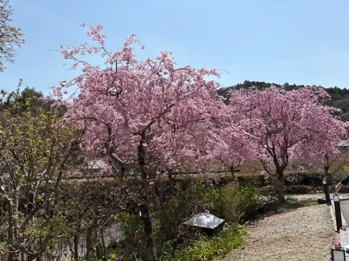 勝尾寺(大阪府)