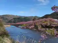 かっぱの寺 栖足寺(静岡県)