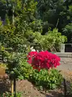 沙沙貴神社(滋賀県)