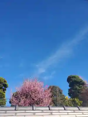 惣宗寺(栃木県)