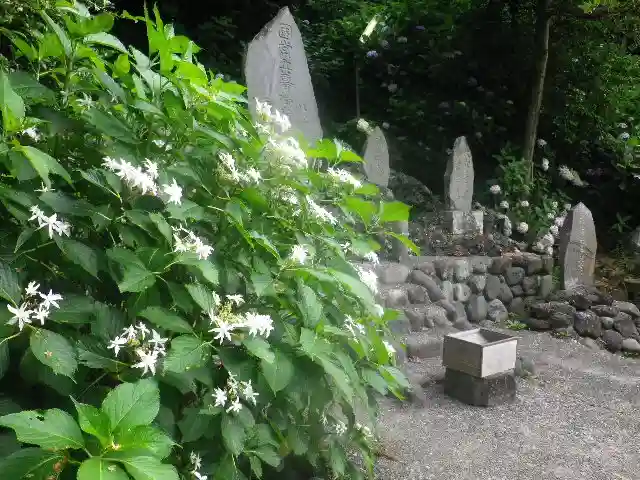 御霊神社の自然