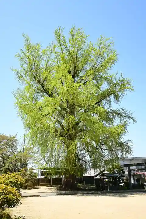 丹生酒殿神社(和歌山県)