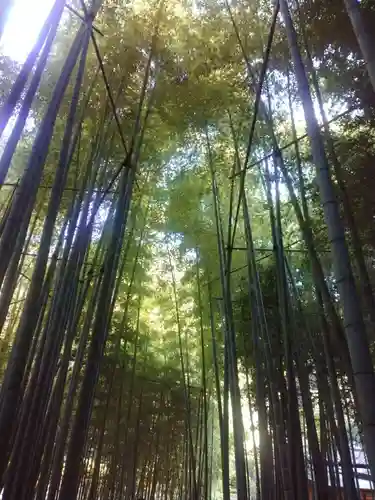 報国寺(神奈川県)