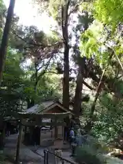 神龍八大龍王神社の自然