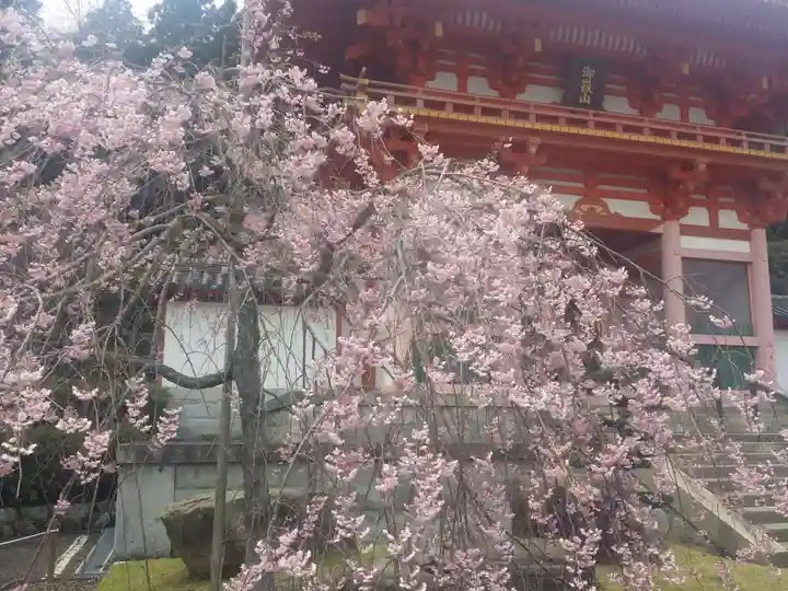 播州清水寺の自然