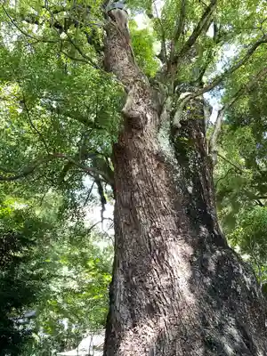 五所神社(神奈川県)