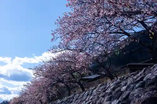 水神(長野県)