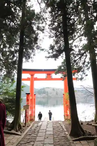 箱根神社の鳥居