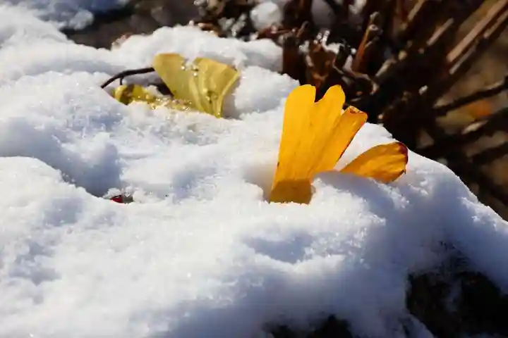 熊野福藏神社(福島県)
