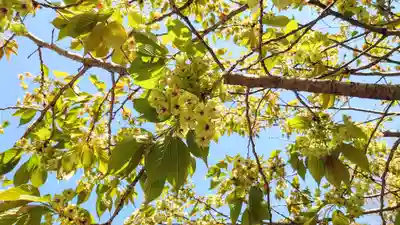 大報恩寺（千本釈迦堂）(京都府)