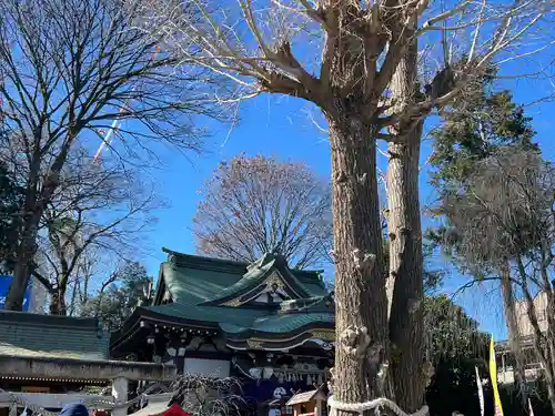 川越八幡宮(埼玉県)