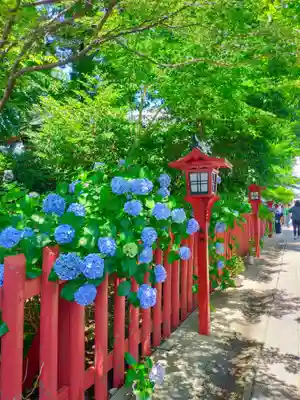 川越八幡宮(埼玉県)
