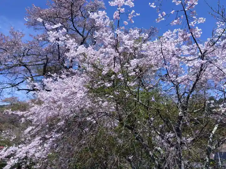 三明院(京都府)