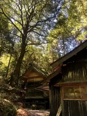白水阿蘇神社の本殿・本堂