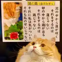 西教寺(下松駅徒歩5分)の動物