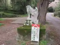 上一宮大粟神社(徳島県)