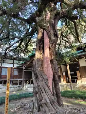 円覚寺(神奈川県)