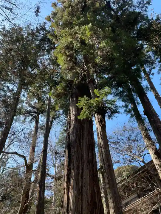 石山寺(滋賀県)