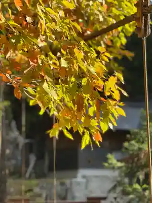 甲斐駒ヶ岳神社の自然