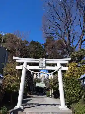 星川杉山神社の鳥居