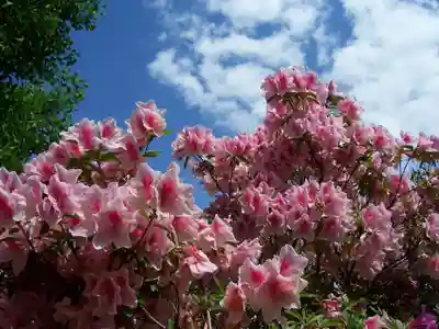 五大尊堂(長徳寺)の自然