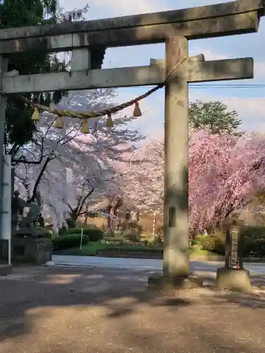 駒形神社の{uncategorized: "未分類", other: "その他", undefined: "問題あり", building: "その他建物", grave: "お墓", sacred_gate: "鳥居", guardian: "狛犬", statue: "像", buddha: "仏像", history: "歴史", nature: "自然", garden: "庭園", animal: "動物", pagoda: "塔", temizu: "手水舎", mountain_gate: "山門・神門", sanctuary: "本殿・本堂", subordinate: "末社・摂社", art: "芸術", scenery: "景色", jizo: "地蔵", ema: "絵馬", goshuin: "御朱印", omikuji: "おみくじ", items: "授与品その他", amulet: "お守り", goshuincho: "御朱印帳", eats: "食事", festival: "お祭り", votive_dance: "神楽", shichigosan: "七五三参", wedding: "結婚式", experience: "体験その他", initially: "初詣", around: "周辺", anti_infection: "感染症対策"}