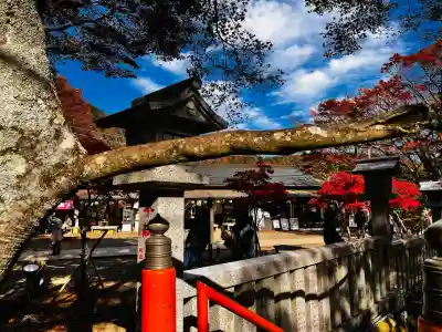 大山阿夫利神社(神奈川県)