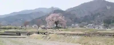 武田八幡宮の周辺