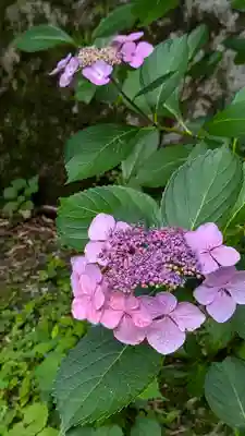 正法寺(京都府)