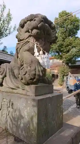 鳩ヶ谷氷川神社の狛犬